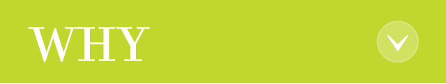 Why Button
